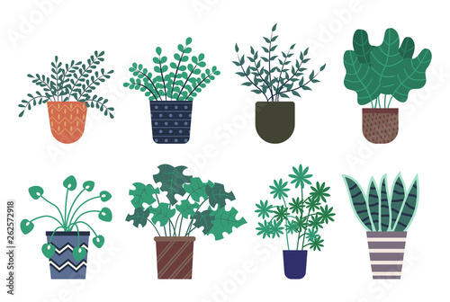 Decorative plants vector, isolated icons set, potted flowers with foliage of different shape and type. Botanical home decor, herbal plantation vegetation