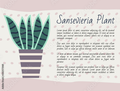 Sansevieria plant kind vector, potted flower with long leaves, green foliage houseplant with explanation, poster with text. Nature at home, flower pot