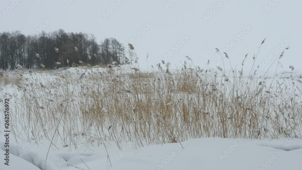 custom made wallpaper toronto digitalsnow cold winter snow drifts snowfall zoom out