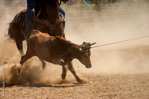 Team Roping