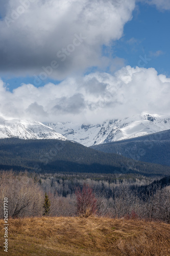 Pure Wilderness - Canadian Wild