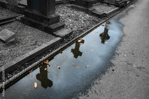 Photography Old Glasnevin cemetery