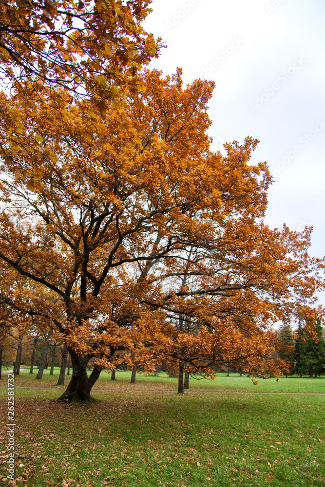 Autumn view of Kadriorg park, Tallinn, Estonia