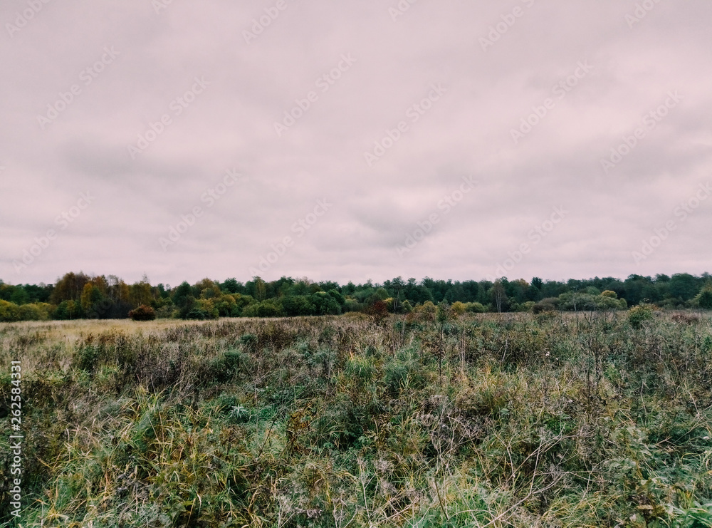 Obraz premium Fields