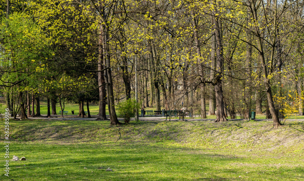 Naklejka premium Bednarski Park in Krakow