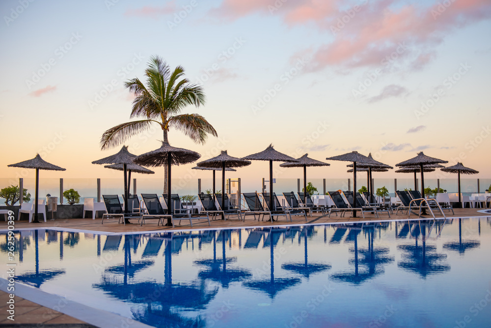 reflection of palm trees and umberllas in a swimming pool Stock Photo ...