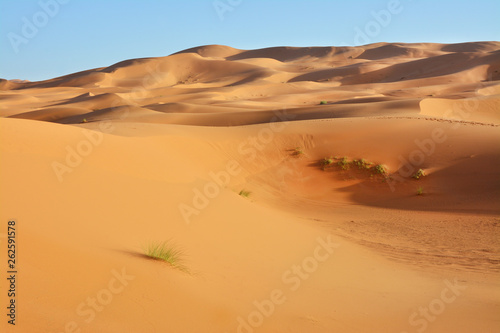pustynia  Sahara Zachodnia  Maroko