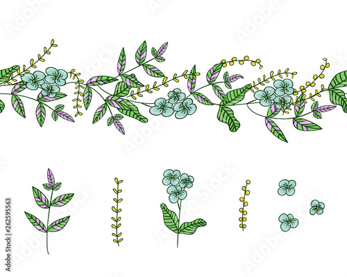 Vector set of garden plant design elements and pattern brush with stylized forget-me-not, basil, oregano. Cute summer or spring templates for wedding, holiday or card design