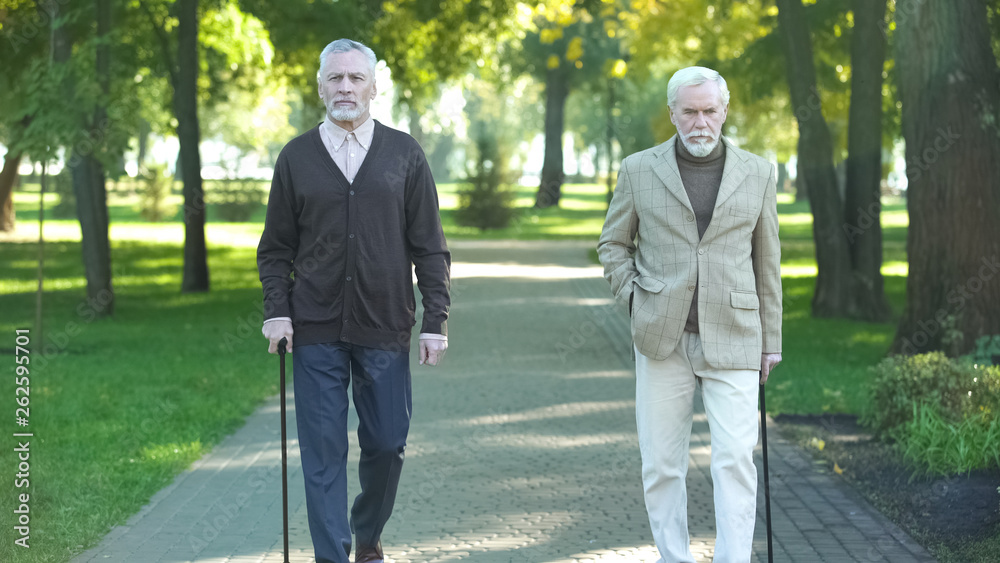 Fototapeta premium Two old upset men walking in park and talking about life, problems in old age