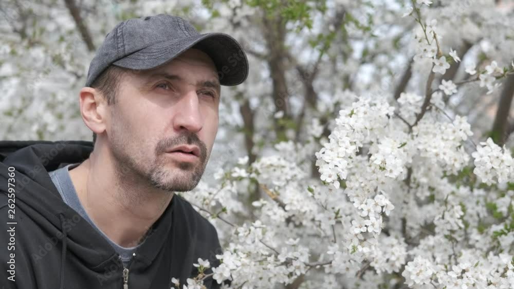 Pollen allergy. A man with a pollen allergy near a cherry blossom tree. Pollen allergy. A man with a pollen allergy near a cherry blossom tree.