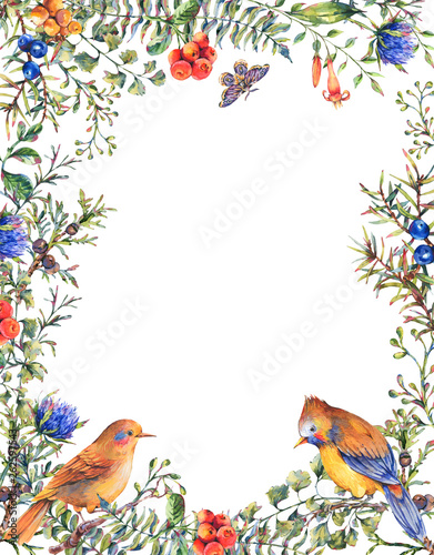Fototapeta Naklejka Na Ścianę i Meble -  Watercolor vintage floral forest vertical frame with pair of birds, fir branches, berries, moth, flowers and branches.