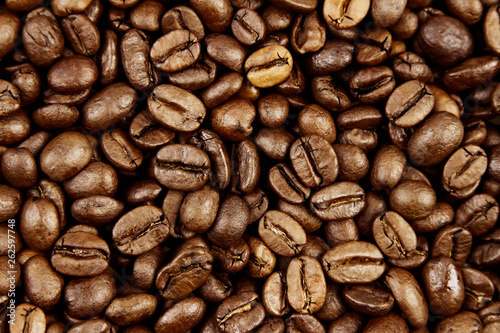Coffee beans close-up © Stillfx