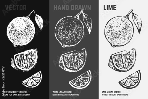 Citrus icons set. Hand drawn lime with leaf