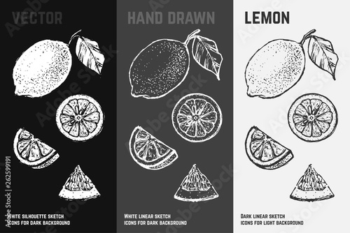 Citrus icons set. Lemon and lime sketches