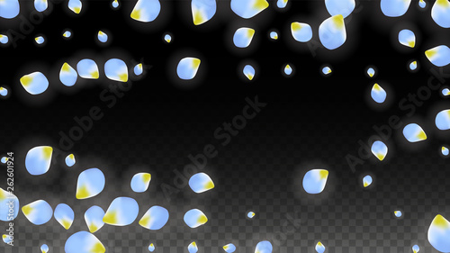 Vector Realistic Blue Petals Falling on Transparent Background.  Spring Romantic Flowers Illustration. Flying Petals. Sakura Spa Design. Blossom Confetti.