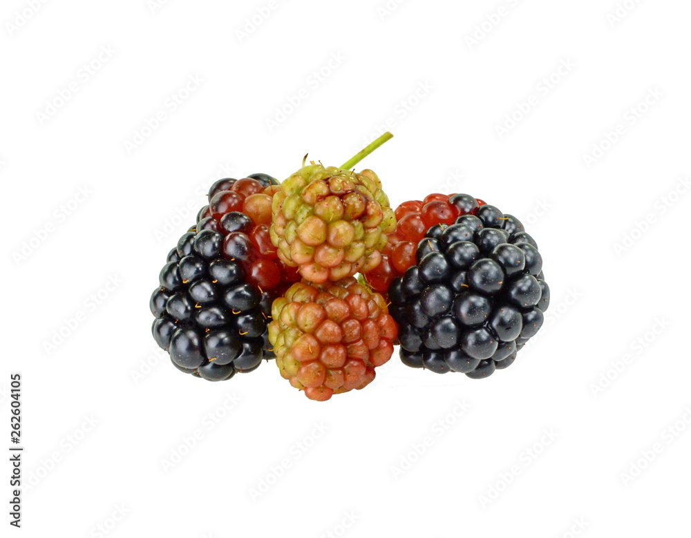 custom made wallpaper toronto digitalblackberry isolated on white.