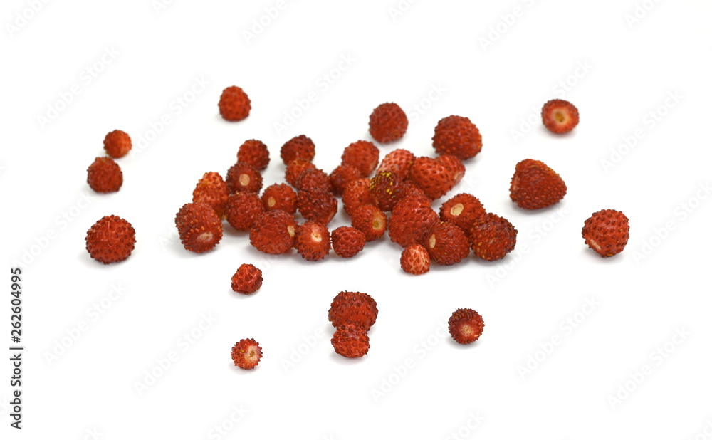 Wild strawberry isolated on white background closeup Wild strawberry isolated on white background closeup