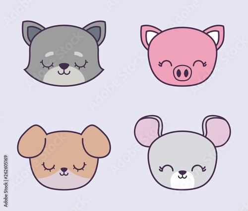 head of cute piggy with group animals