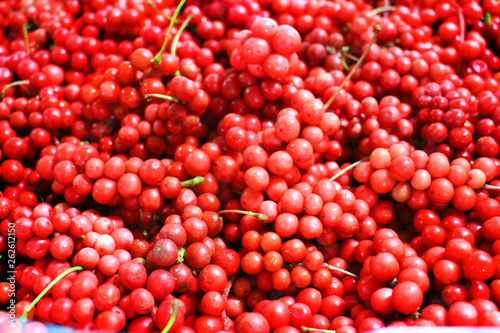 Omija, Schisandra chinensis from korea photo