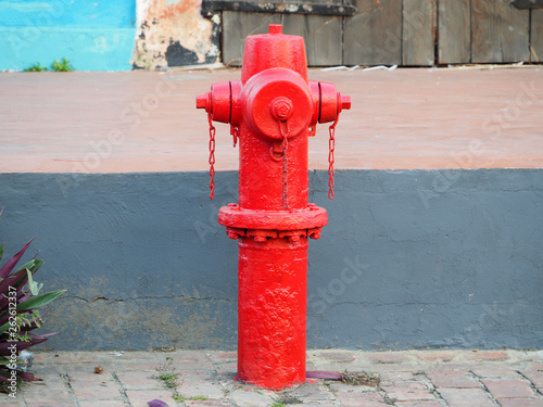 Bright red fire hydrant on the street.