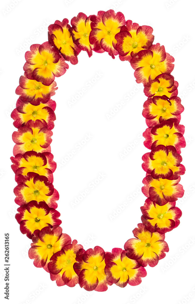 Numeral 0, zero, from natural flowers of primula, isolated on white background