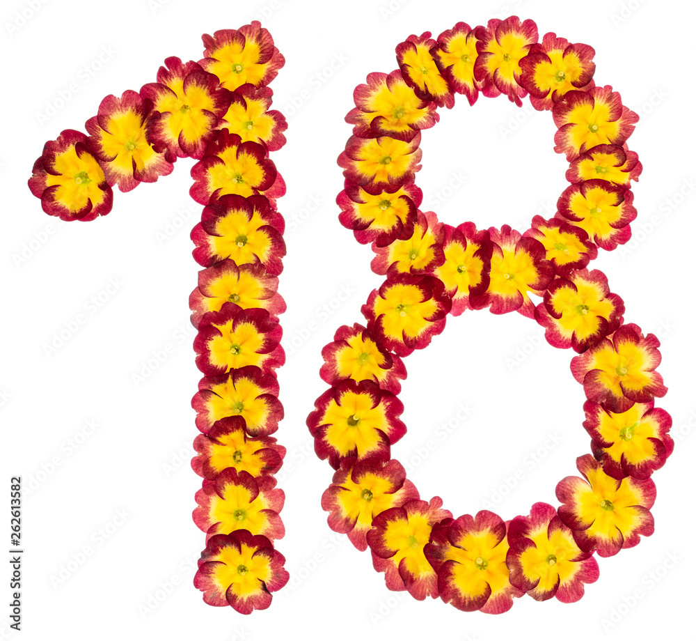 Numeral 18, eighteen, from natural flowers of primula, isolated on white background Numeral 18, eighteen, from natural flowers of primula, isolated on white background