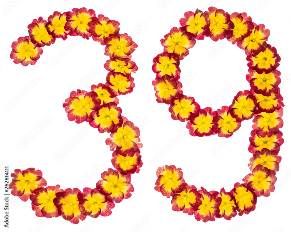 Numeral 39, thirty nine, from natural flowers of primula, isolated on white background