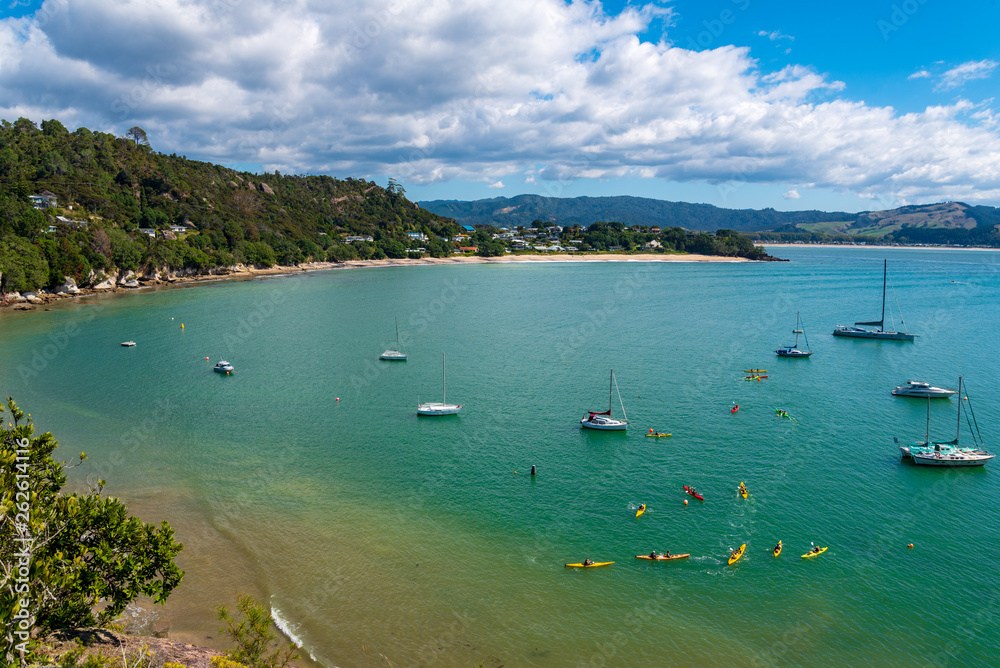 Kayakers on the bay