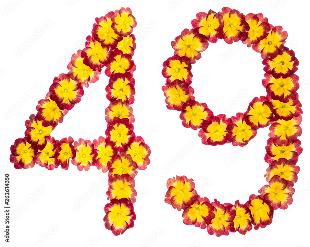 Numeral 49, forty nine, from natural flowers of primula, isolated on white background