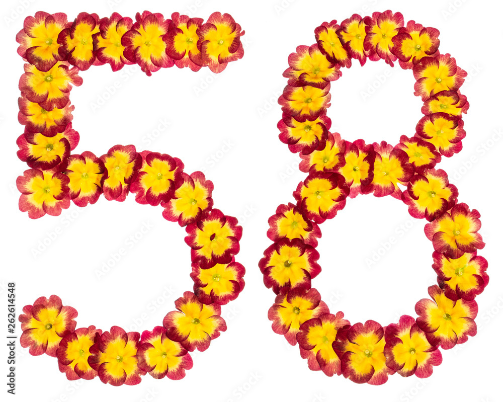 Numeral 58, fifty eight, from natural flowers of primula, isolated on white background