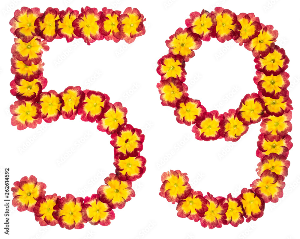 Numeral 59, fifty nine, from natural flowers of primula, isolated on white background Numeral 59, fifty nine, from natural flowers of primula, isolated on white background