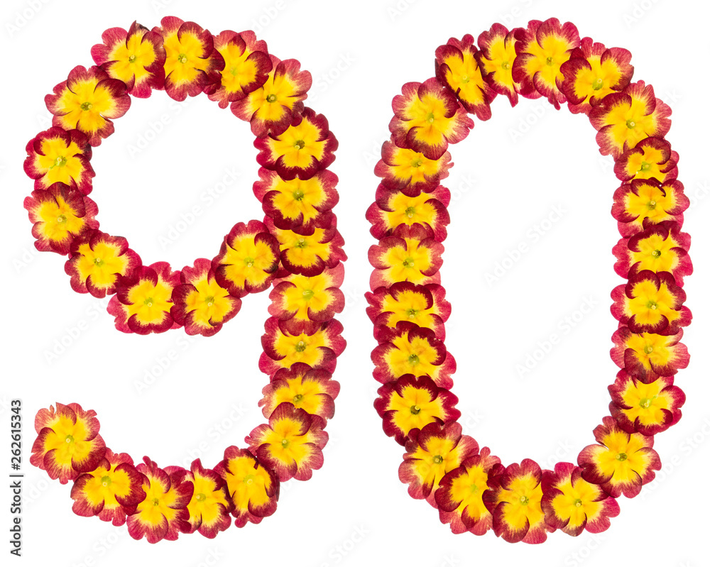 Numeral 90, ninety, nine, from natural flowers of primula, isolated on white background Numeral 90, ninety, nine, from natural flowers of primula, isolated on white background