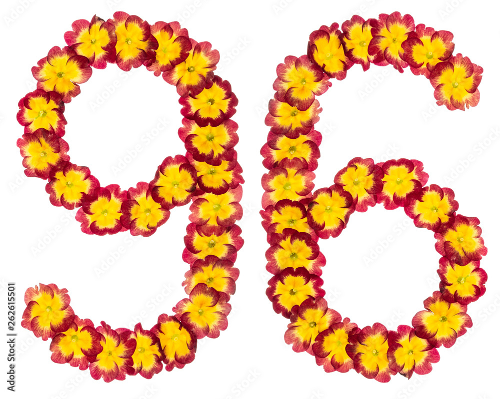 Numeral 96, ninety six, from natural flowers of primula, isolated on white background