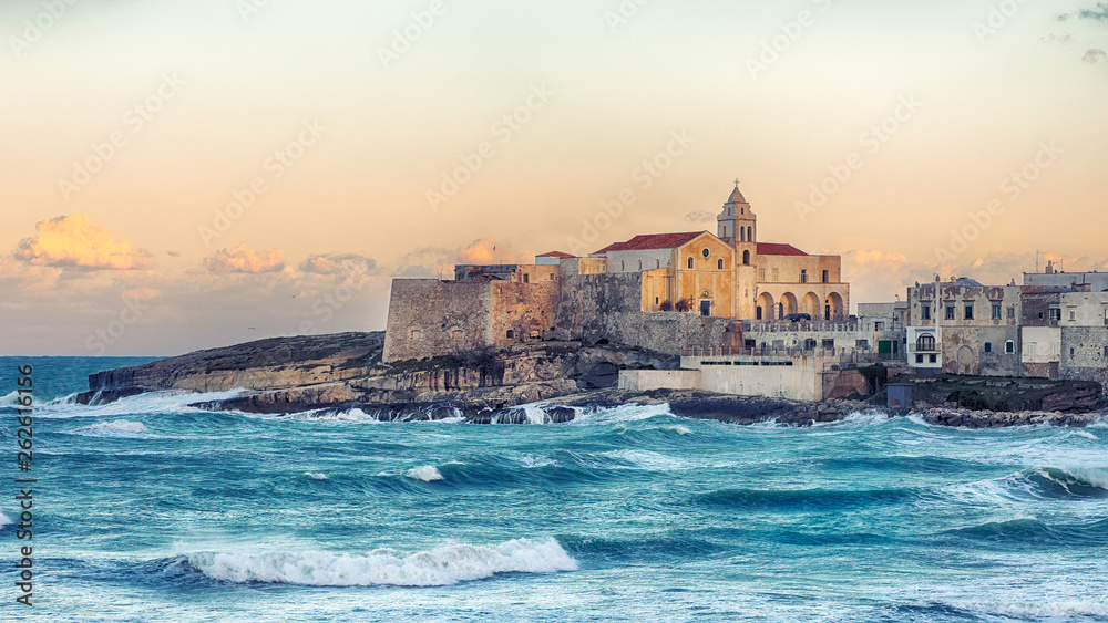 Naklejka premium Historic central city of the beautiful town called Vieste.