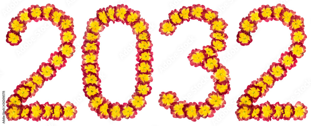 Inscription 2032, from natural flowers of primula, isolated on white background