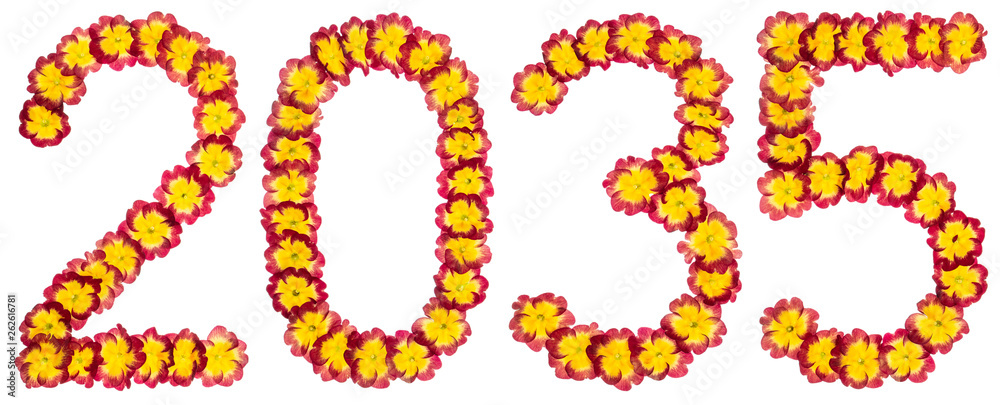 Inscription 2035, from natural flowers of primula, isolated on white background