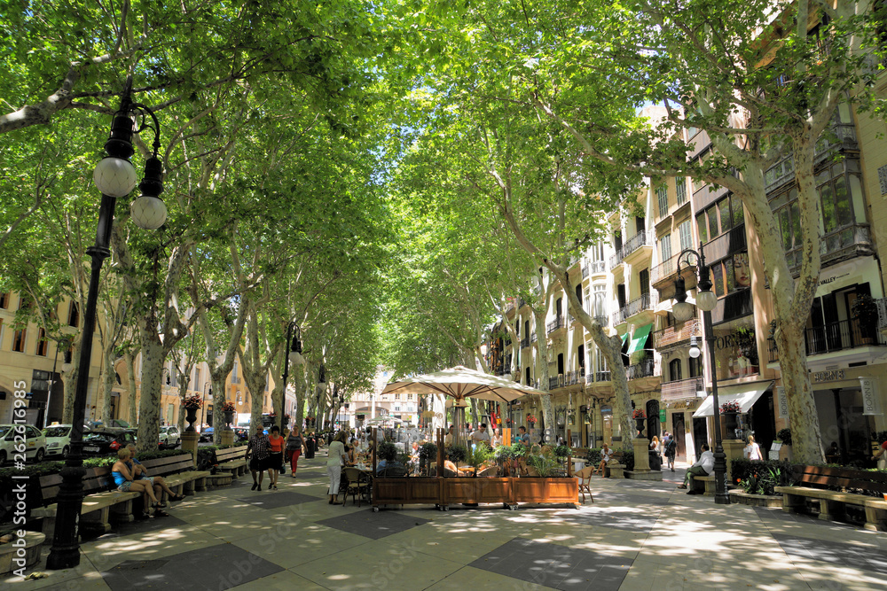 stadt palma de mallorca