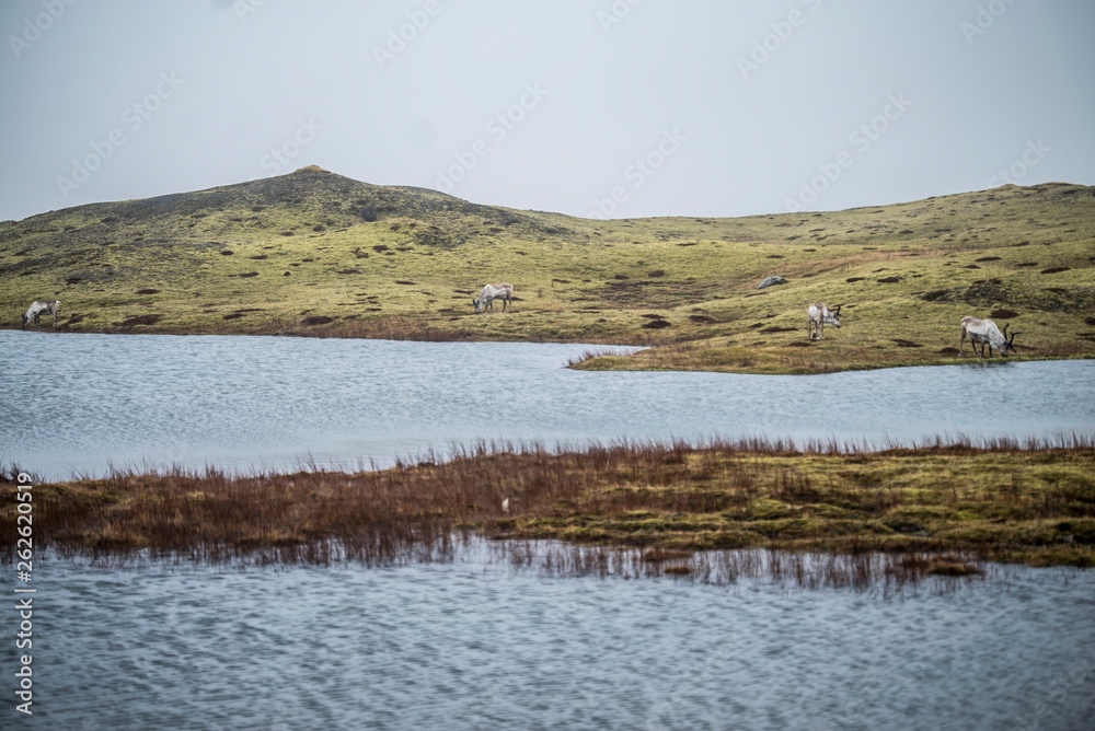 Islandia paisaje nieve lago cascada geiser