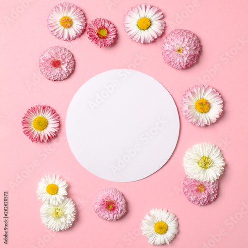 Spring nature minimal concept. Daisy flowers and white circle-shaped paper card on pastel pink background. Flat lay composition with copy space. Top view, overhead
