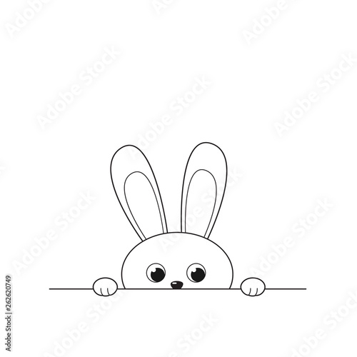 Outline of funny peeking bunny isolated on white