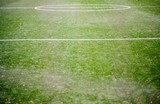 Green soccer field football grass,  layout.