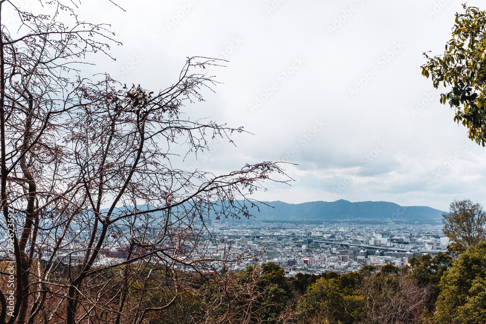 View over Kyoto from Fushimi Inari-Taisha Shrine in Kyoto, Japan View over Kyoto from Fushimi Inari-Taisha Shrine in Kyoto, Japan