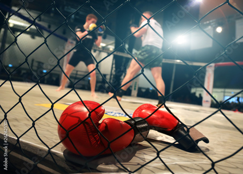 Fotografia MMA fight scene with boxing gloves in foreground