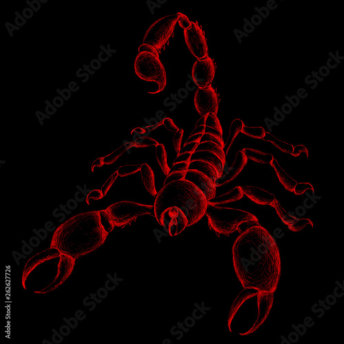 The Vector logo scorpion for T-shirt design or outwear.  Hunting style insect background.