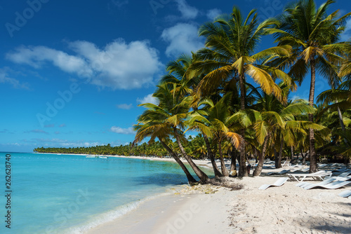 tropical beach with palm trees © Ruslan