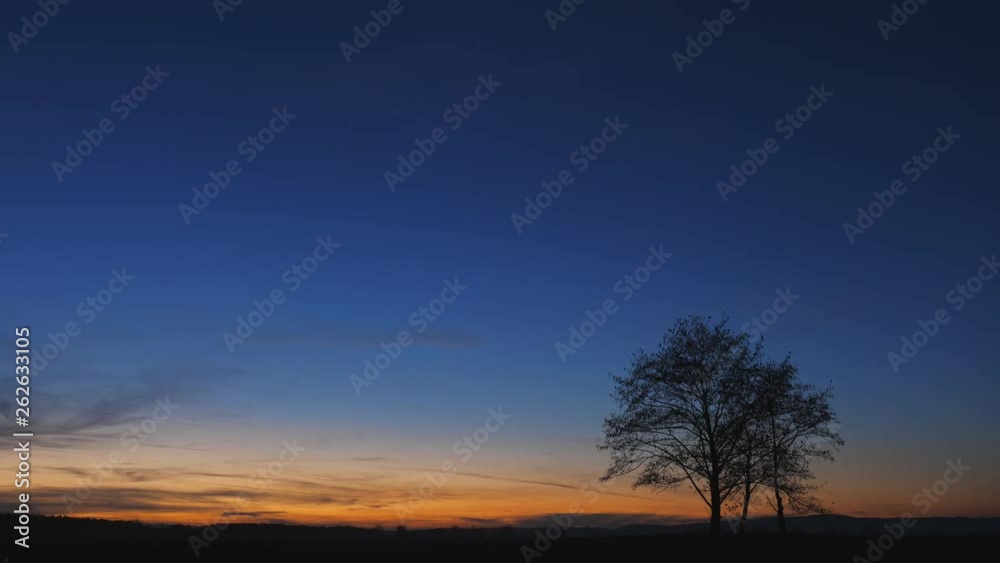 Isolated single tree silhouette and blue and orange serene sunset sky Isolated single tree silhouette and blue and orange serene sunset sky