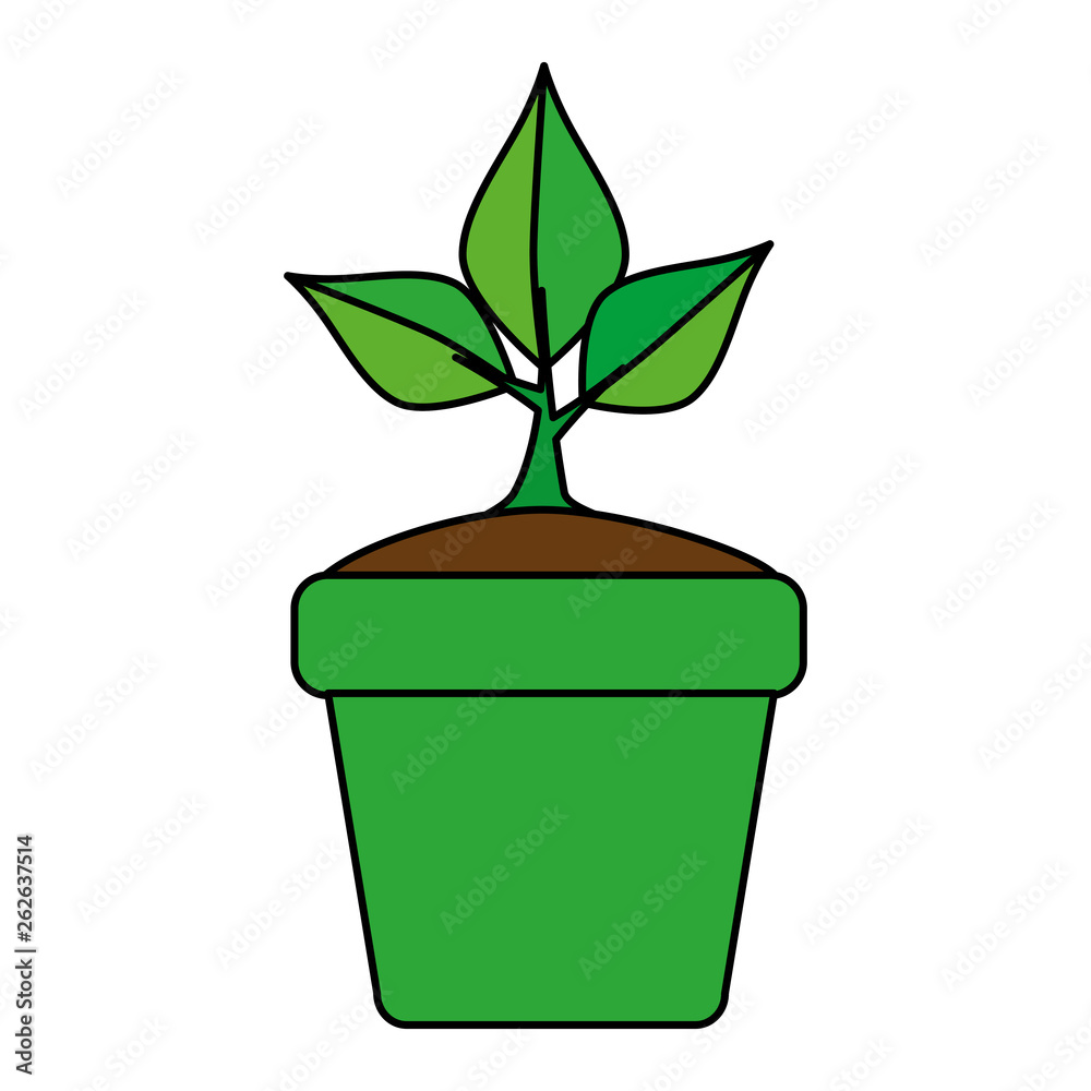 ecology leafs plant in pot ecology leafs plant in pot