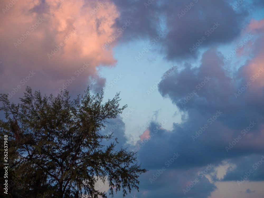 Silhouettes of trees against the blue sky and multi-colored clouds. Koh Phangan Thailand Silhouettes of trees against the blue sky and multi-colored clouds. Koh Phangan Thailand