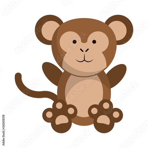 Monkey cute animal