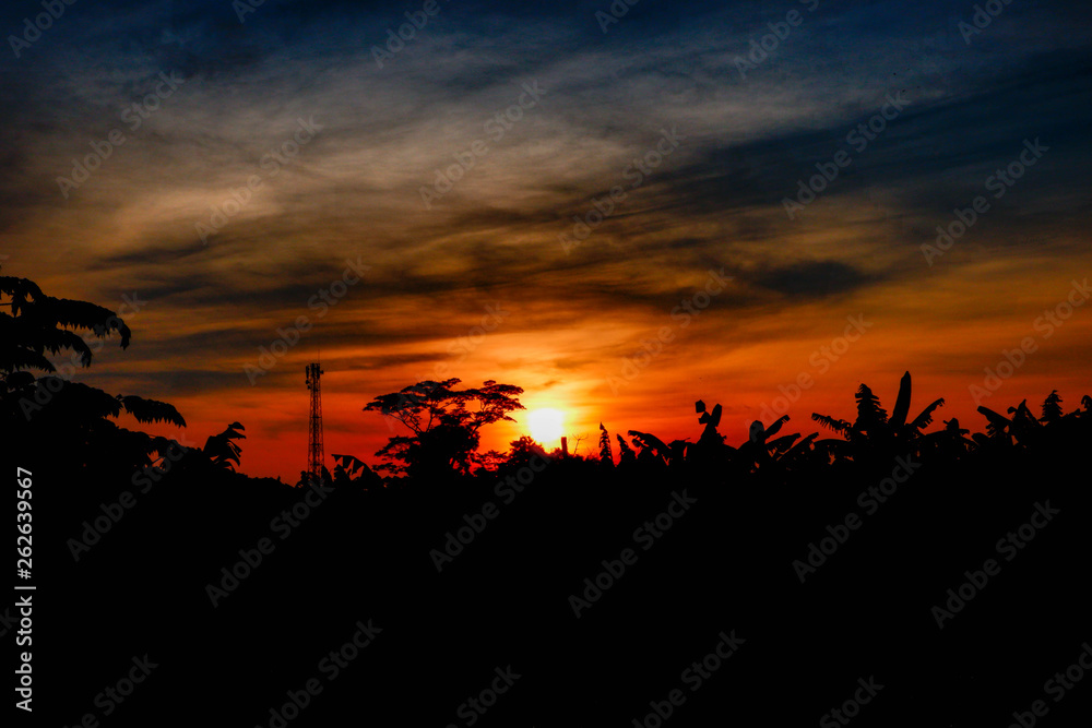 Beautiful sunrise with trees and tower silhouette